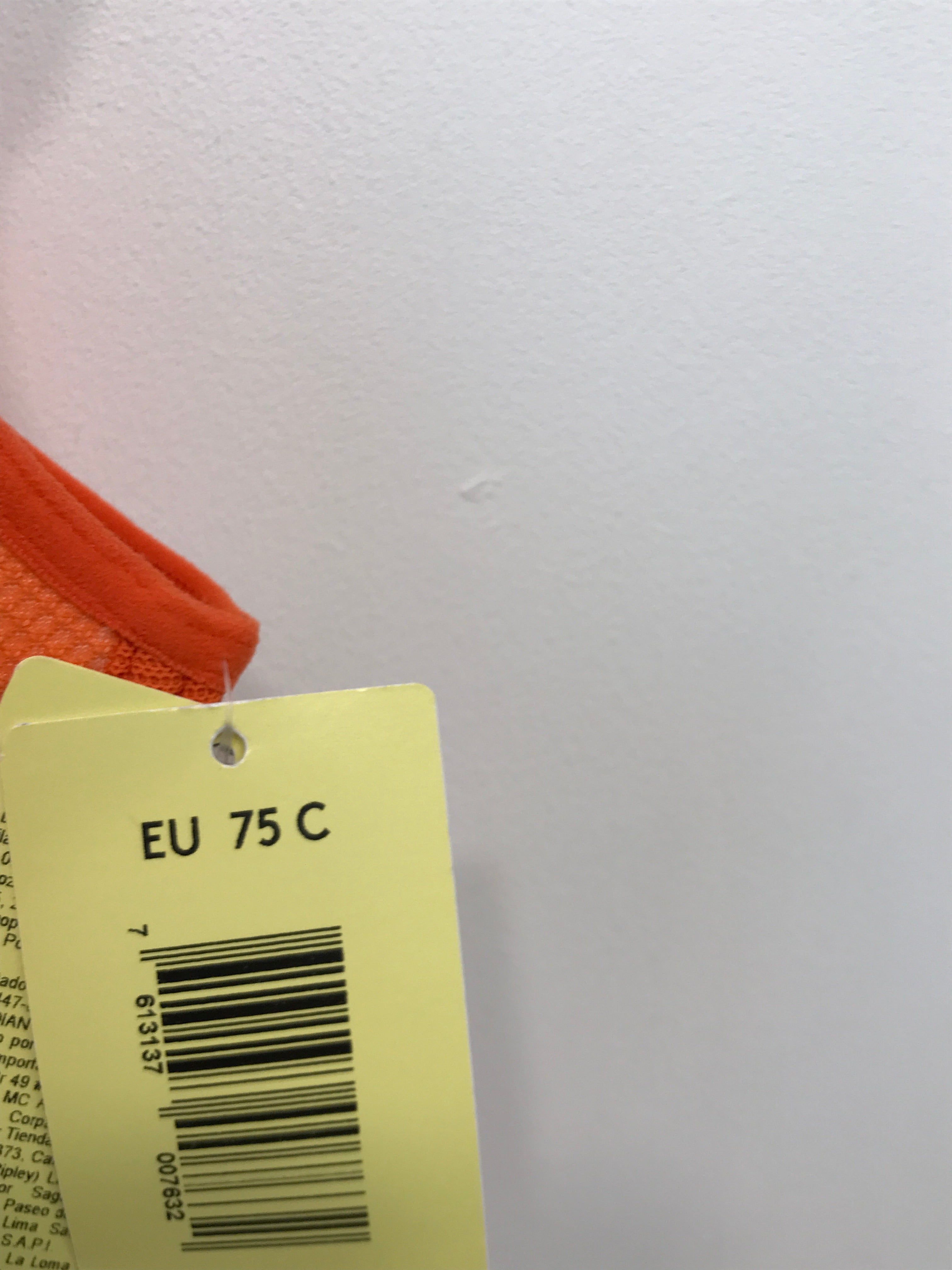 Triumph Triaction Sports BH